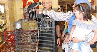 Esnafın sahiplendiği karga ile dostluğu görenleri hayrete çeviriyor