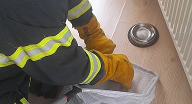 Eve giren yarasa yakalanarak dışarıya bırakıldı