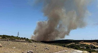 Ezine'de tarım arazisinde başlayan yangın ormanlık alana sıçradı