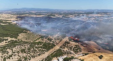 Ezine'deki yangında 287 futbol sahası büyüklüğünde alan zarar gördü