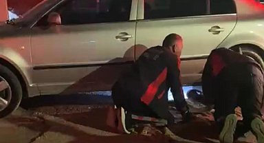 Farklı noktalarda mahsur kalan kedilere itfaiyeden yardım eli