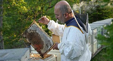 Filmlere konu olan deli balda üretim sezonu sürüyor