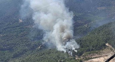 Finike'de orman yangını