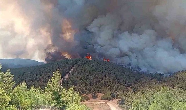 Foça'da orman yangınına havadan 11 uçakla müdahale