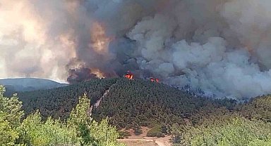 Foça'da orman yangınına havadan 11 uçakla müdahale