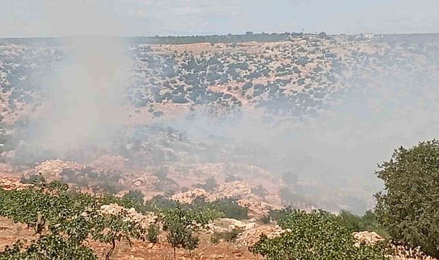 Gaziantep'te fıstık ve zeytin bahçelerinde yangın