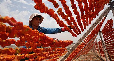 Gaziantep'te kurutmalık sezonu başladı
