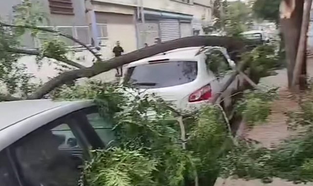Gaziantep'te şiddetli fırtına: Ağaçlar devrildi, araçlar zarar gördü, toz bulutu etrafı kapladı