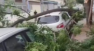 Gaziantep'te şiddetli fırtına: Ağaçlar devrildi, araçlar zarar gördü, toz bulutu etrafı kapladı