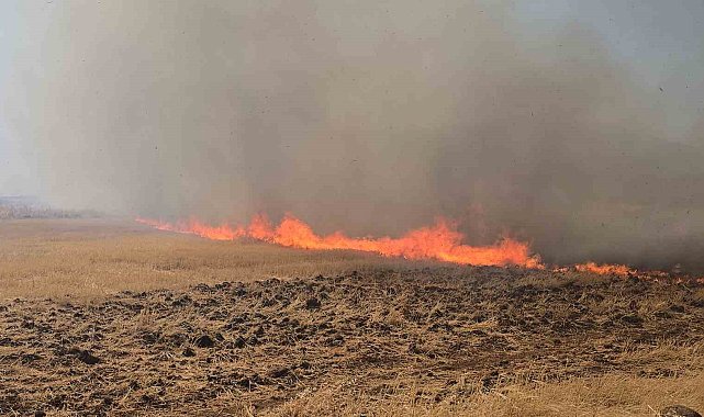 Gaziantep'teki çıkan anız yangını fabrikaları tehdit etti