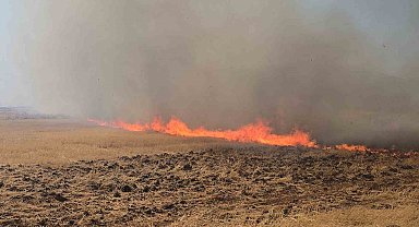 Gaziantep'teki çıkan anız yangını fabrikaları tehdit etti