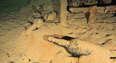 Gelibolu Su Altı Parkı'nda 110 yıllık şarap şişesi bulundu
