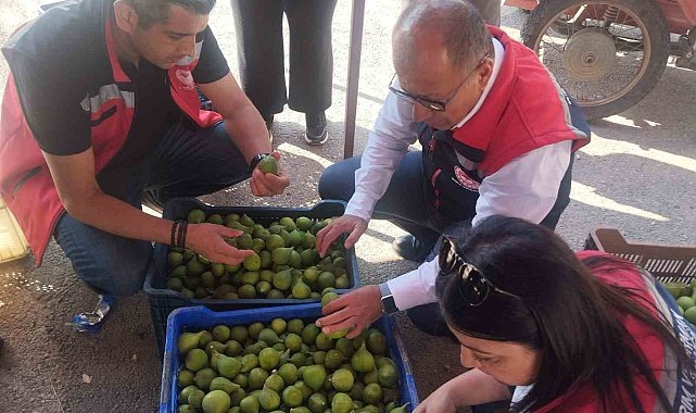 Germencik'te ilek tezgahları denetlendi