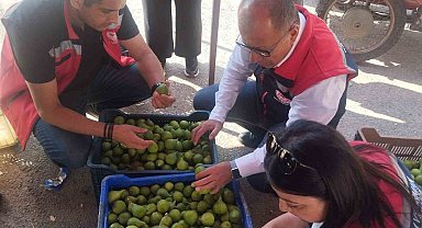 Germencik'te ilek tezgahları denetlendi