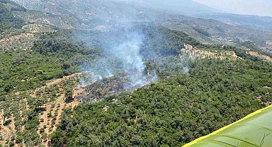 Germencik'te orman yangını