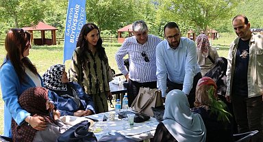 Geyveli çınarlardan YADEM'le doğa teneffüsü