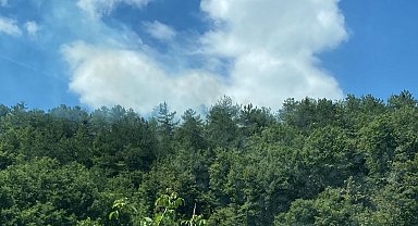 Gölpazarı'nda yangın bölgesinde alevler yeniden yükseldi, ekipler harekete geçti