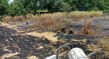 Gönen'de aynı gün iki ayrı yangın: İtfaiye ekipleri alevleri kontrol altına aldı