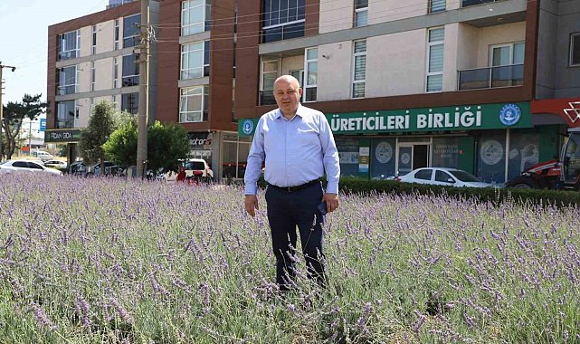 Gönen'de biyogaz tesisine "ÇED olumlu" kararı
