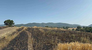 Gönen'de buğday tarlasında çıkan yangında 50 dönüm arazi kül oldu