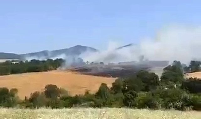 Gönen'de buğday tarlasında yangın çıktı