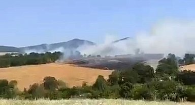 Gönen'de buğday tarlasında yangın çıktı