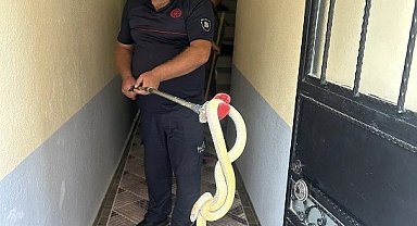 Gönen'de eve giren yılan paniğe neden oldu