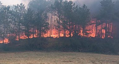 Göynük'te orman yangını başladı: Havadan ve karadan müdahale sürüyor