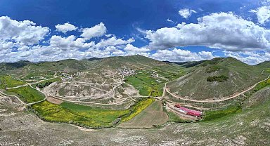 Gümüşhane'de sarı çiçeklerin büyülü dansı başladı