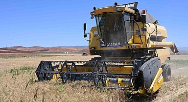 Güneşin altında hasat: Buğday tarlalarında zorlu mesai başladı