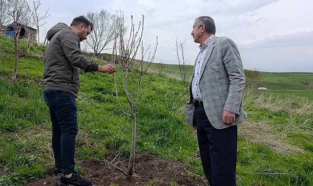 Hamur'da Çiftçilere budama ve aşılama eğitimi verildi