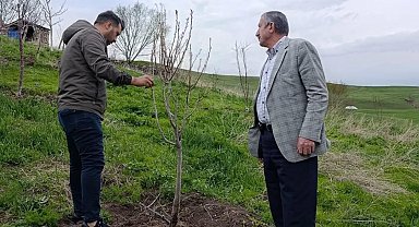 Hamur'da Çiftçilere budama ve aşılama eğitimi verildi