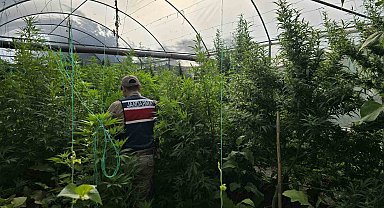 Hatay'da jandarma ekipleri 83 şahsın evinde ve iş yerinde arama yaptı