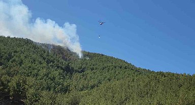 Hatay'da orman yangını havadan müdahaleyle kontrol altına alındı