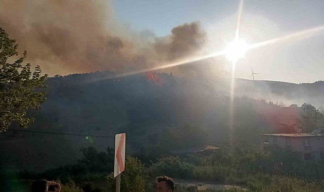 Hatay'da orman yangını