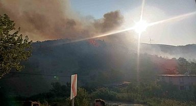 Hatay'da orman yangını