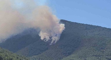 Hatay'da orman yangını