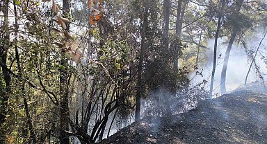 Hatay'da orman yangını