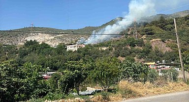 Hatay'da ormanlık alanda çıkan yangın söndürüldü