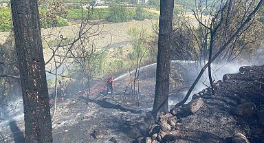 Hatay'daki orman yangını söndürüldü