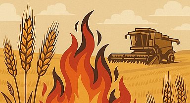 Hayrabolu İlçe Tarım ve Orman Müdürlüğü uyardı: "Anız yakmayalım, sigara izmariti atmayalım, tedbiri elden bırakmayalım"