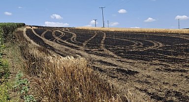 Hayrabolu'da 13 dönüm arpa tarlası küle döndü