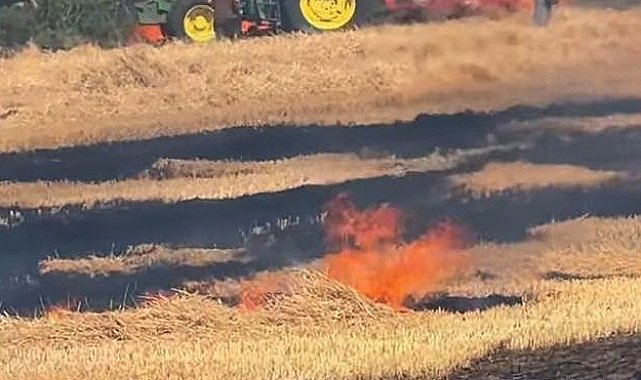 Hayrabolu'da 7 dönüm buğday ekili alan kül oldu