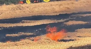 Hayrabolu'da 7 dönüm buğday ekili alan kül oldu