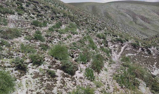 Haziran ayında kar sürprizi: Erek Dağı'nın etekleri beyaza büründü