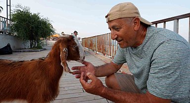 Hemcinsleri bıçak altına yatarken o deniz keyfi yaptı