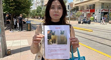 Herkes bayramı kutlarken o sokak sokak kayıp kedisini aradı
