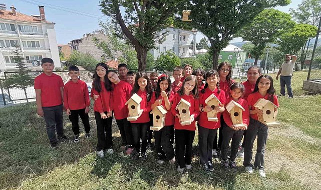 Hisarcık'ta minik öğrenciler ağaçlara kuş yuvası astı