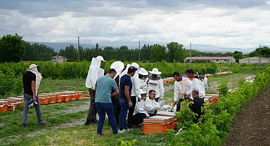 Iğdır'da arı kovanı dağıtım töreni düzenlendi