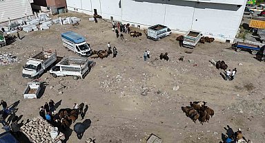 Iğdır'da bayrama 1 gün kala kurbanlık telaşı havadan görüntülendi